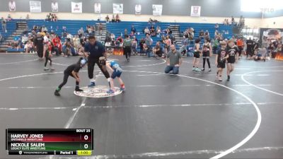 52 lbs Semifinal - Nickole Salem, Legacy Elite Wrestling vs Harvey Jones, Smithfield Wrestling