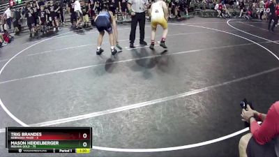 160 lbs Round 2 (6 Team) - Mason Heidelberger, Indiana Gold vs Trig Brandes, Nebraska Maize