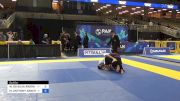 WELLINGTON DA SILVA ANDRADE vs MARC ANTHONY SANCHEZ 2024 Pan Jiu Jitsu IBJJF Championship