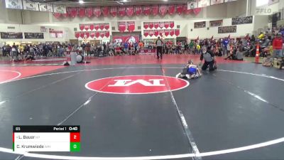 65 lbs Quarterfinal - Lucas Bauer, New Prague vs Charlie Krumwiede, Wayzata