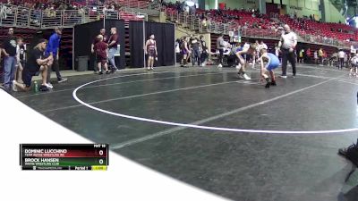 90 lbs Semifinal - Dominic Lucchino, Team Agoge Wrestling Inc vs Brock Hansen, Wayne Wrestling Club