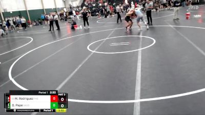 184 lbs Champ. Round 3 - Matthew Rodriguez, Fort Hays State vs Damen Pape, Northern Colorado