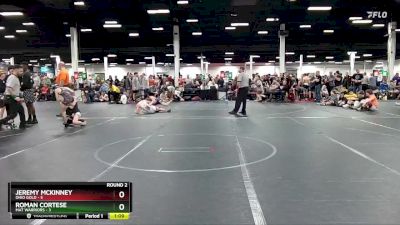 80 lbs Round 2 (4 Team) - Jeremy McKinney, Ohio Gold vs Roman Cortese, Mat Warriors