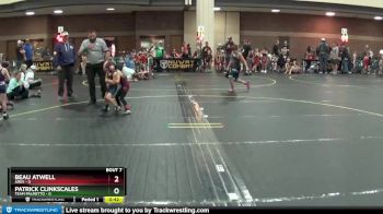 38 lbs Semis & 1st Wrestleback (8 Team) - Patrick Clinkscales, Team Palmetto vs Beau Atwell, Ares