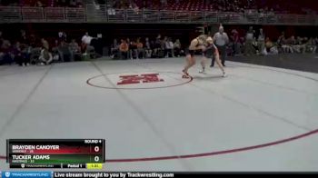 120 lbs Round 4 (8 Team) - Tucker Adams, Hastings vs Brayden Canoyer, Waverly