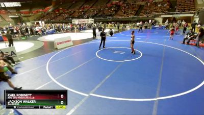 98 lbs Cons. Round 3 - Cael Robinett, Mad Dog Wrestling Club vs Jackson Walker, California