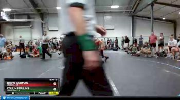 132 lbs Finals (8 Team) - Drew Gorman, Storm A vs Collin Mullins, Level Up A