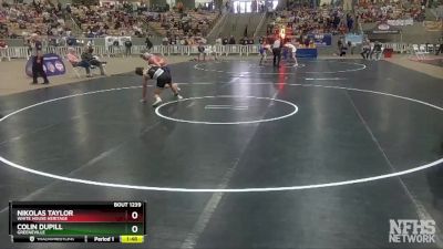 A 152 lbs Semifinal - Colin Dupill, Greeneville vs Nikolas Taylor, White House Heritage