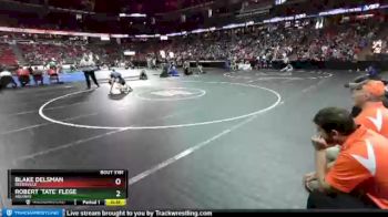 D3-145 lbs Cons. Semi - Robert `Tate` Flege, Aquinas vs Blake Delsman, Reedsville