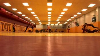 Monkey Rolls Conditioning At Iowa State