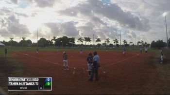 Demarini Athletics 18U Gold vs. Tampa Mustangs-TJ Part 2, 10-24-15 - Rising Stars