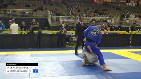 VICTOR DE ALBUQUERQUE SHINZATO vs ALEXANDER CHARLES YABLONG 2024 Pan Jiu Jitsu IBJJF Championship