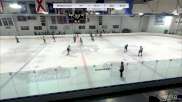 Replay: Home - 2024 Philadelphia U15 vs Hitmen U15 | Jan 20 @ 3 PM