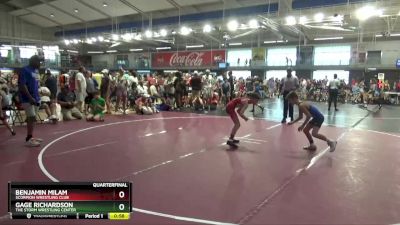 80 lbs Quarterfinal - Gage Richardson, The Storm Wrestling Center vs Benjamin Milam, Scorpion Wrestling Club