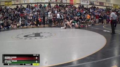 106 lbs Semifinal - Ayden Dodd, Perrysburg vs Ethan Timar, St. Edward