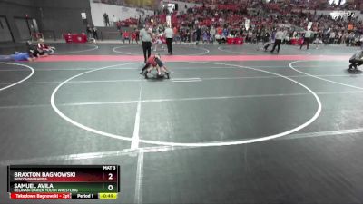 66 lbs Cons. Semi - Samuel Avila, Delavan-Darien Youth Wrestling vs Braxton Bagnowski, Wisconsin Rapids