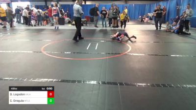 48 lbs Rr Rnd 3 - Gracie Logsdon, Valkyrie vs Charae Gregula, Mt Lebanon