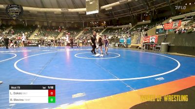 73 lbs 5th Place - Logan Oakes, Sebolt Wrestling Academy vs Brooks Blevins, Triumph Wrestling Club