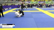 GÉTER DOS PASSOS vs RAFAEL MAURICIO REIS DO NASCIMEN 2024 Brasileiro Jiu-Jitsu IBJJF