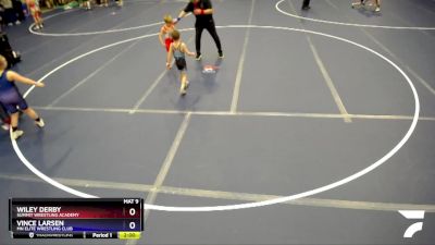 53 lbs Semifinal - Wiley Derby, Summit Wrestling Academy vs Vince Larsen, MN Elite Wrestling Club