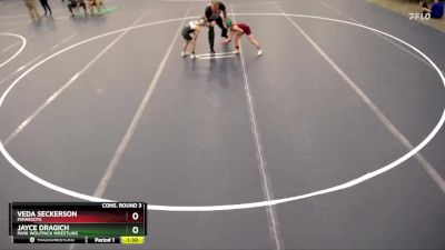 Cons. Round 3 - Veda Seckerson, Minnesota vs Jayce Dragich, Park Wolfpack Wrestling