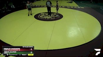 102 lbs Placement (4 Team) - Meryk Ullman, Roseau vs Presley Havemeier, Dassel-Cokato-Litchfield
