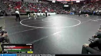 D3-126 lbs Semifinal - Brayden Sonnentag, Cadott vs Kaleb Mannel, Weyauwega-Frem.