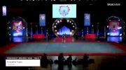 Dunnellon Tigers - Youth Cheer [2021 Show Cheer 2 - Mitey Mite - Small Day 3] 2021 Pop Warner National Cheer & Dance Championship