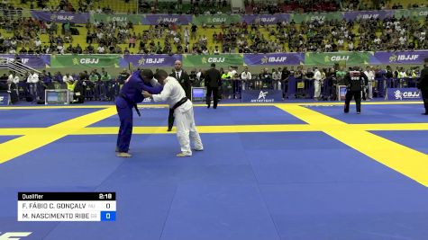 FRANCISCO FÁBIO C. GONÇALVES vs MARCELO NASCIMENTO RIBEIRO DA SI 2024 Brasileiro Jiu-Jitsu IBJJF