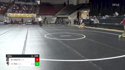 133 lbs Round Of 64 - William Vaporis, South Carolina vs Caiden Pelc, Lindenwood