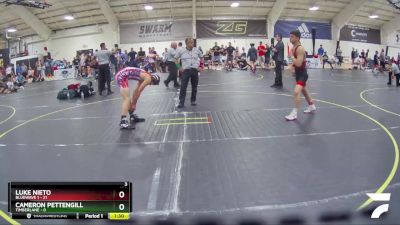 138 lbs Round 3 (6 Team) - Luke Nieto, BlueWave 1 vs Cameron Pettengill, Timberlane