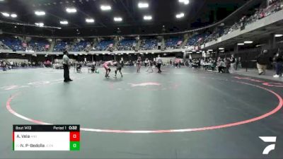 155 lbs Cons. Round 4 - Noelie Perez-Bedolla, Joliet Central vs Adrianna Vela, Andrew