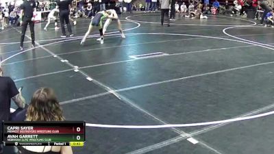 101 lbs Quarterfinal - Avah Garrett, Nebraska Elite Wrestling Club vs Capri Sayer, Midwest Destroyers Wrestling Club