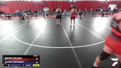 285 lbs Semifinal - Vincent Halliday, MN vs Cooper Martinson, IA