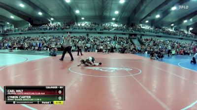 80 lbs Champ. Round 2 - Lynkin Carter, Honey Badger Wrestling Club-A  vs Cael Wilt, Palmyra Youth Wrestling Club-AAA