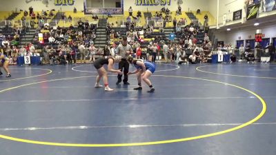 155 lbs Semifinal - Avry Ryhal, Hickory vs Camryn Steinbuch, Bedford