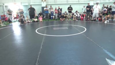 80 lbs Pools - Logan Winkler, Ohio Gold vs Dominic Pizzuli, Ares W.C. (MI)