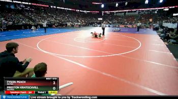 D1-132 lbs 5th Place Match - Tyson Peach, Milton vs Preston Kratochvill, Holmen