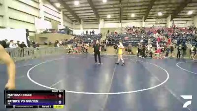 138 lbs Cons. Round 5 - Mathias Hogue, MT vs Patrick Vo Nguyen, AZ