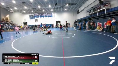 119 lbs Round 3 - Brodey Wilcox, Natrona Colts Wrestling Club vs Cannon Boren, Thermopolis Wrestling Club