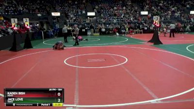 108 lbs Quarterfinal - Delanie Dellaflora, JRP1 vs Annika Goldean, CWHA