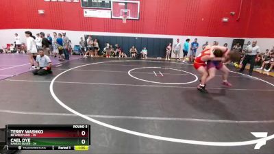 205 lbs Round 5 (6 Team) - Terry Washko, BB Wrestling vs Cael Dye, Kansas Silver