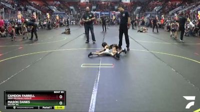 43 lbs Quarterfinal - Camdon Farrell, West Michigan Pursuit vs Mason Danks, Delton WC