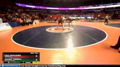 3A 195 lbs Semifinal - Cole Matulenko, Libertyville vs Dominic Thebeau, Belleville (East)