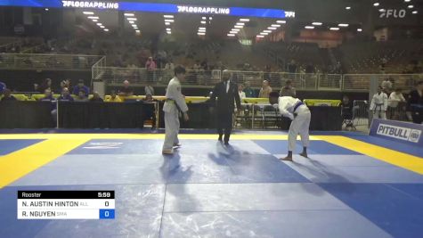 NOAH AUSTIN HINTON vs RYAN NGUYEN 2024 Pan Jiu Jitsu IBJJF Championship