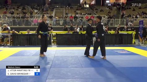 JOÃO VÍTOR MARTINS FREIRES vs ELIJAH DAVID BRINEGAR 2024 Pan Jiu Jitsu IBJJF Championship