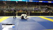 GILBERTO MONROY AGUAS vs MICHAEL HAGL 2024 Pan Jiu Jitsu IBJJF Championship