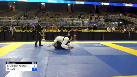 GILBERTO MONROY AGUAS vs MICHAEL HAGL 2024 Pan Jiu Jitsu IBJJF Championship