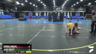 138 lbs Round 4 (8 Team) - Gabriel Gibbons, Michigan Gold Pitbulls vs Ayden Keller, Michigan Monkeys