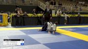 SARAI NOEL KAEMMERLING vs LINDSEY LUCILLE LOVHOIDEN 2024 Pan Jiu Jitsu IBJJF Championship
